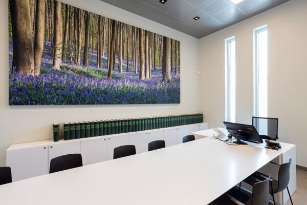 COUSTpanel with print of the Haller forest